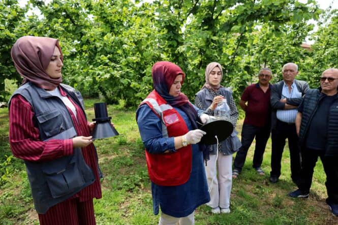 Açıklama: Çiftlikte ilgilenen ve araştırma yapan uzmanlar, tarım ve bitki gelişimini yakından takip ediyorlar.
