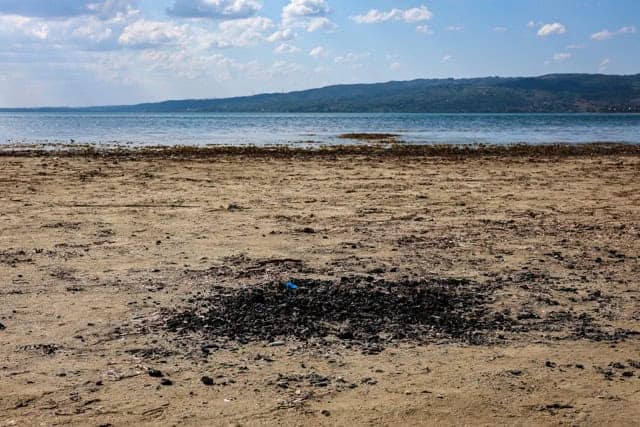 sapanca-golu-icin-saskiden-kritik-uyari-3863