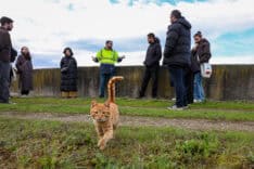 SASKİ Arıtma Tesislerinde Tıp Fakültesi 6. Sınıf Öğrencileri Su ve Atıksu Süreçlerini İnceledi