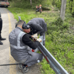 Hendek Hicriye Mahallesi’nde Yol Kenarlarına Çelik Bariyer Desteği Sağlandı