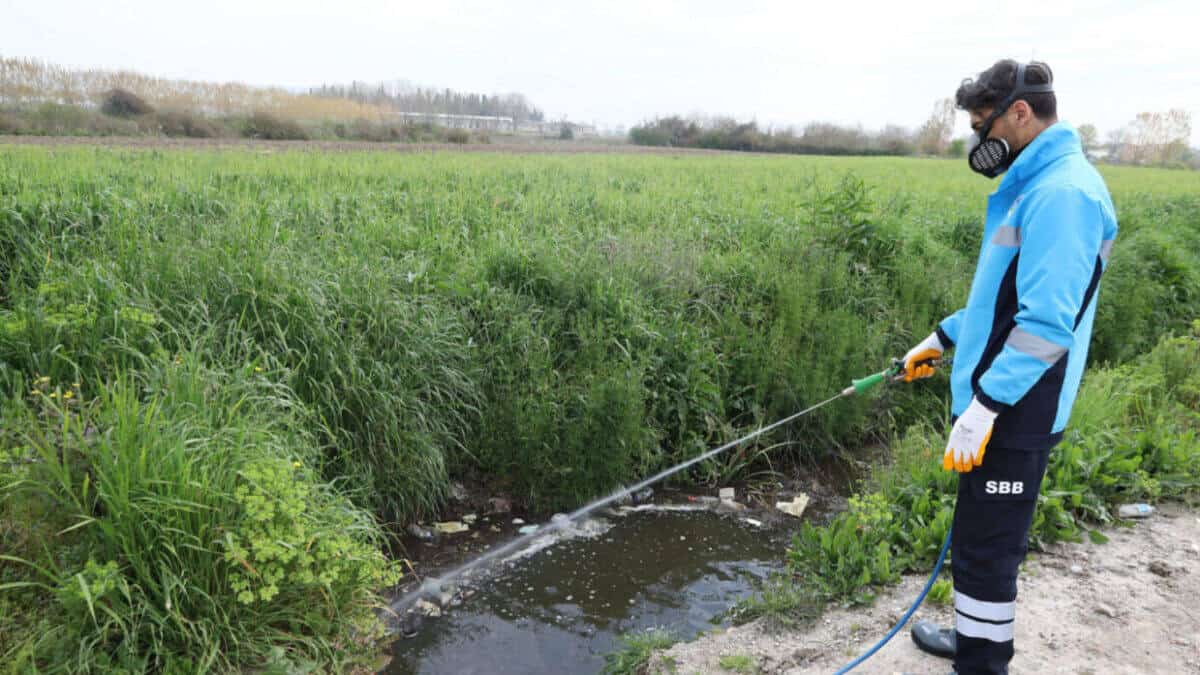 Sakarya’da Haşere ve Zararlı Vektörlerle Şehir Genelinde Yoğun Mücadele Başladı