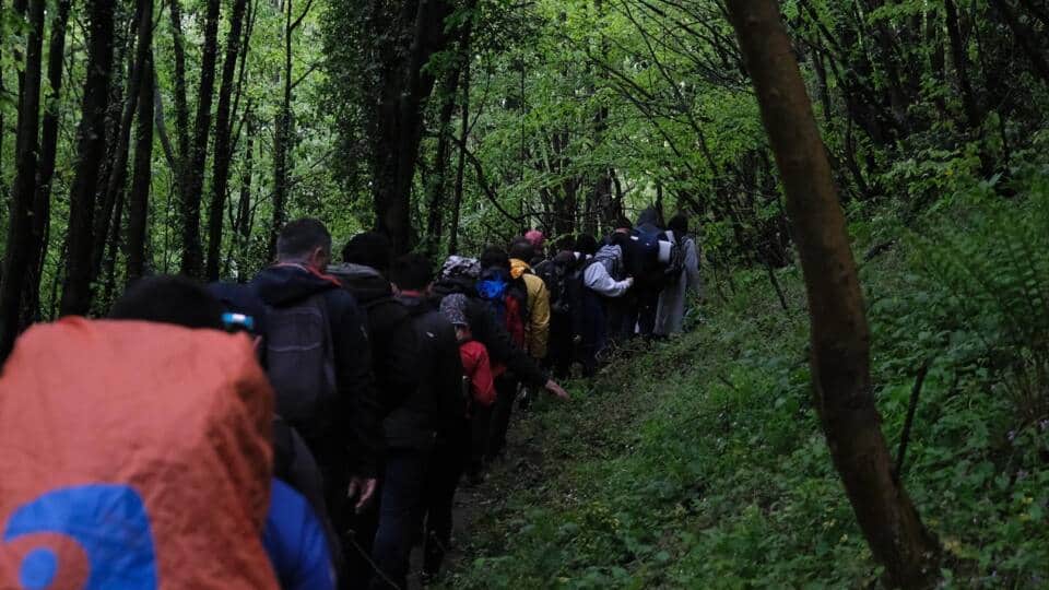 Geyve Doğançay Parkurunda Doğaseverler 15 Kilometrelik Bahar Yürüyüşünde Buluştu